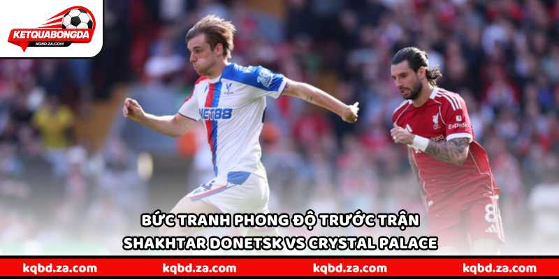 Bức tranh phong độ trước trận Shakhtar Donetsk vs Crystal Palace