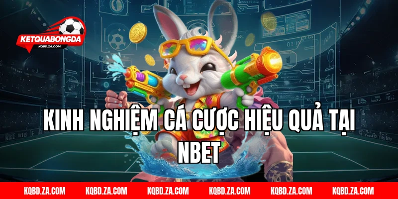 Kinh nghiệm cá cược hiệu quả tại NBet