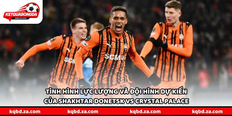 Tình hình lực lượng và đội hình dự kiến của Shakhtar Donetsk vs Crystal Palace