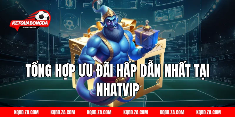 Tổng Hợp Ưu Đãi Hấp Dẫn Nhất Tại NHATVIP