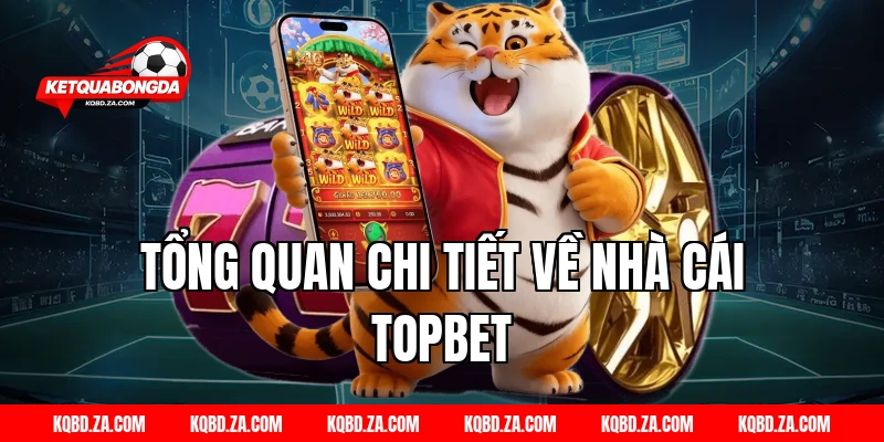 Tổng quan chi tiết về nhà cái TOPBET