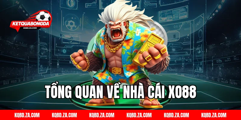 Tổng Quan Về Nhà Cái XO88