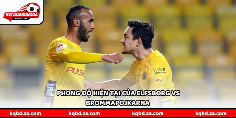 Phong độ hiện tại giúp Elfsborg vs Brommapojkarna có sự khác biệt đáng kể